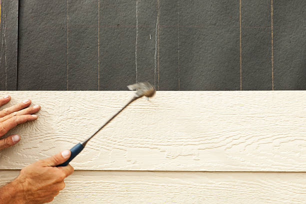 Best Custom Siding Design  in Fallon, NV